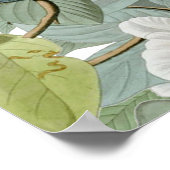 Carolina Pigeon Audubon Morning Dove Poster (Hoek)