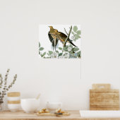 Carolina Pigeon Audubon Morning Dove Poster (Keuken)