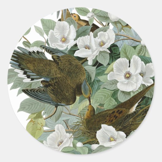 Carolina Pigeon Audubon Morning Dove Ronde Sticker (Voorkant)
