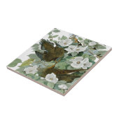 Carolina Pigeon Audubon Morning Dove Tegeltje (Zijkant)