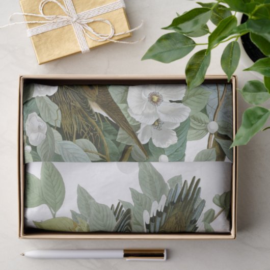 Carolina Pigeon Audubon Morning Dove Tissuepapier (Geschenk)