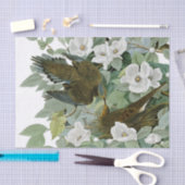 Carolina Pigeon Audubon Morning Dove Tissuepapier (Craft)