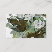 Carolina Pigeon Audubon Morning Dove Visitekaartje (Achterkant)