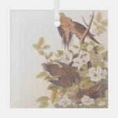 Carolina Pigeon of Mourning Dove Glas Ornament (Voorkant)