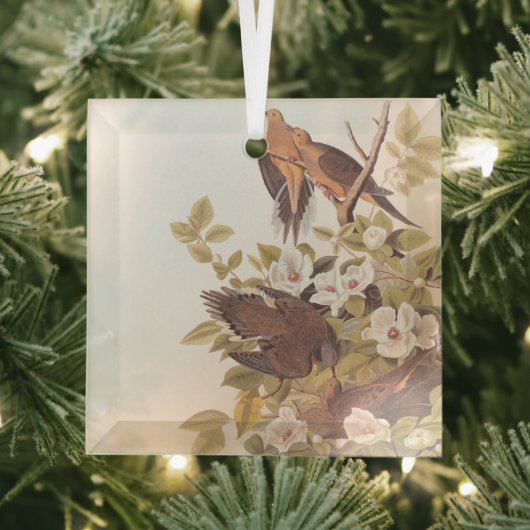 Carolina Pigeon of Mourning Dove Glas Ornament (Insitu)