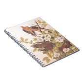 Carolina Pigeon of Mourning Dove Notitieboek (Rechterzijde)