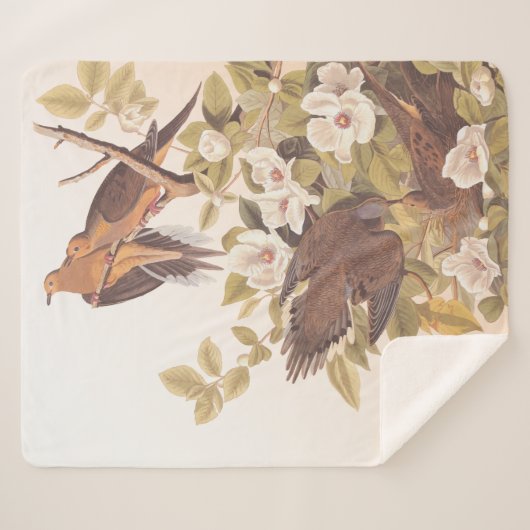 Carolina Pigeon of Mourning Dove Sherpa Deken (Voorkant (horizontaal))