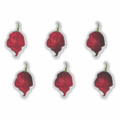 Carolina Reaper Chili Pepper Sticker Set (Voorkant)