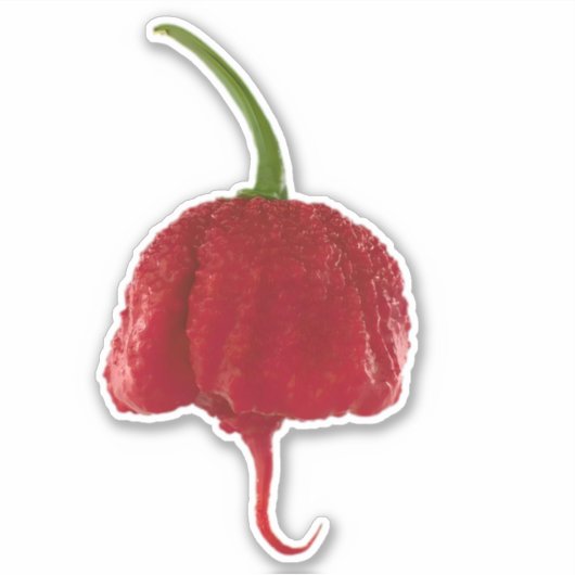 carolina reaper super hete peper auto sticker (Voorkant)