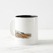 Carolina Shrew House Mouse Girl Boy Room Tweekleurige Koffiemok (Voorkant links)