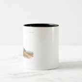 Carolina Shrew House Mouse Girl Boy Room Tweekleurige Koffiemok (Center)