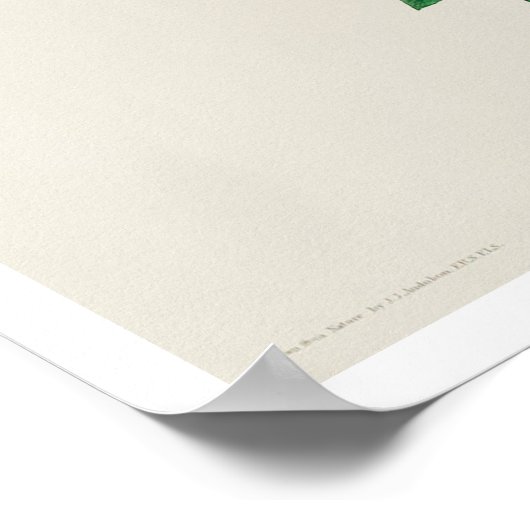 Carolina Titmouse door Poster Audubon (Hoek)