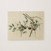 Carolina Titmouse van Audubon's Birds of America Legpuzzel (Horizontaal)