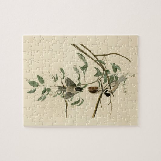 Carolina Titmouse van Audubon's Birds of America Legpuzzel (Horizontaal)