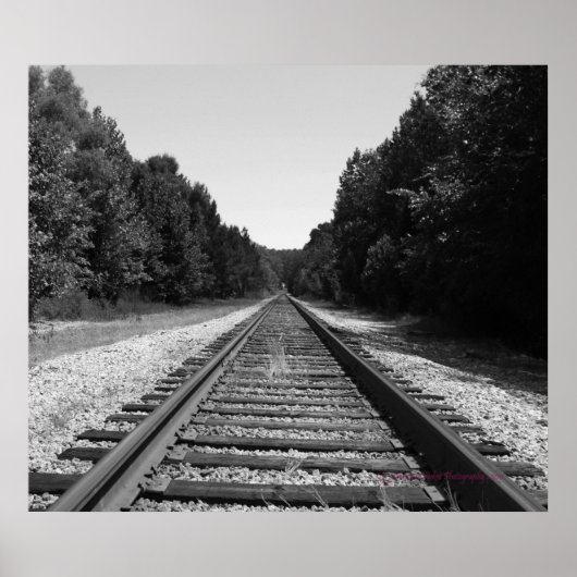 Carolina Tracks Poster (Voorkant)