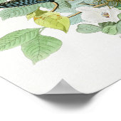 Carolina Turtle Dove John Audubon Birds of America Poster (Hoek)