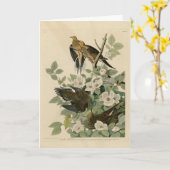Carolina Turtle Dove Mourning Dove Audubon's vogel Kaart (Gele Bloem)