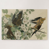 Carolina Turtle Dove Mourning Dove Audubon's vogel Legpuzzel (Horizontaal)