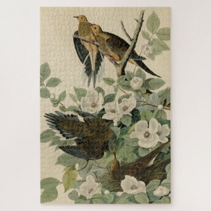 Carolina Turtle Dove Mourning Dove Audubon's vogel Legpuzzel