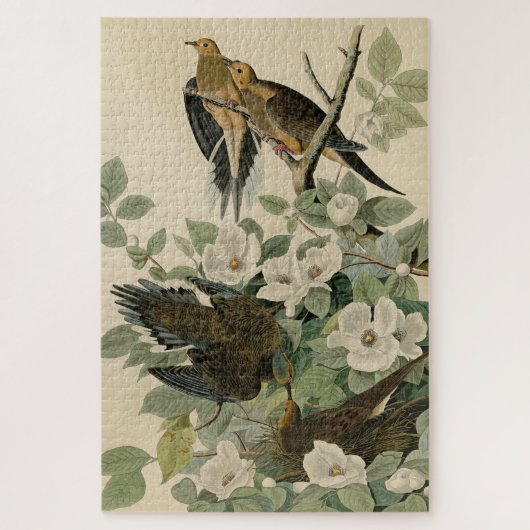 Carolina Turtle Dove Mourning Dove Audubon's vogel Legpuzzel (Verticaal)