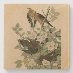Carolina Turtle Dove Mourning Dove Audubon's vogel Stenen Onderzetter