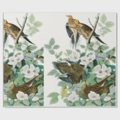 Carolina Turtle Dove, vogels van Amerika door John Cadeaupapier (Vlak)