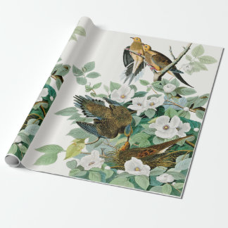 Carolina Turtle Dove, vogels van Amerika door John Cadeaupapier