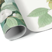 Carolina Turtle Dove, vogels van Amerika door John Cadeaupapier (Rol Hoek)