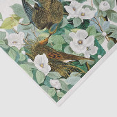Carolina Turtle Dove, vogels van Amerika door John Tissuepapier (Detail)