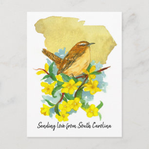 Carolina Winterkoning Vogel Jessamine Gele Bloemen Briefkaart