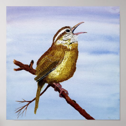 Carolina Wren Art Poster (Voorkant)
