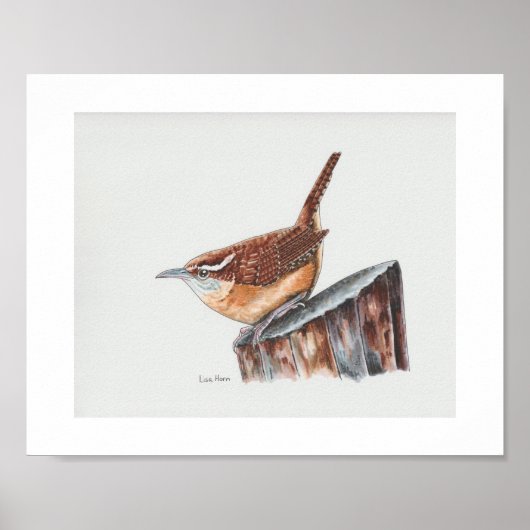 Carolina Wren Art Print (Voorkant)