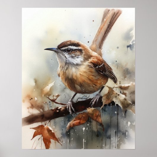 Carolina Wren Bird Art Print Poster (Voorkant)