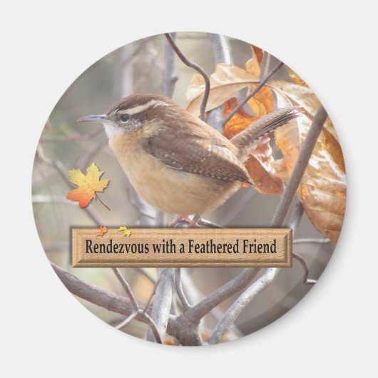 Carolina Wren Birding Magnet. Magneet (Voorkant)