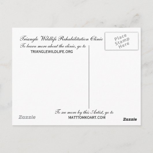 Carolina Wren Briefkaart (Achterkant)