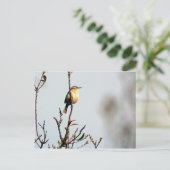 Carolina Wren Briefkaart (Staand voorkant)