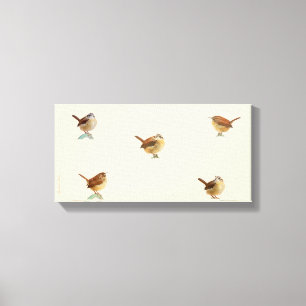 Carolina Wren Canvas Print