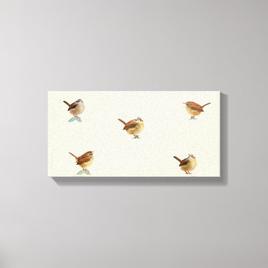 Carolina Wren Canvas Print (Voorkant)