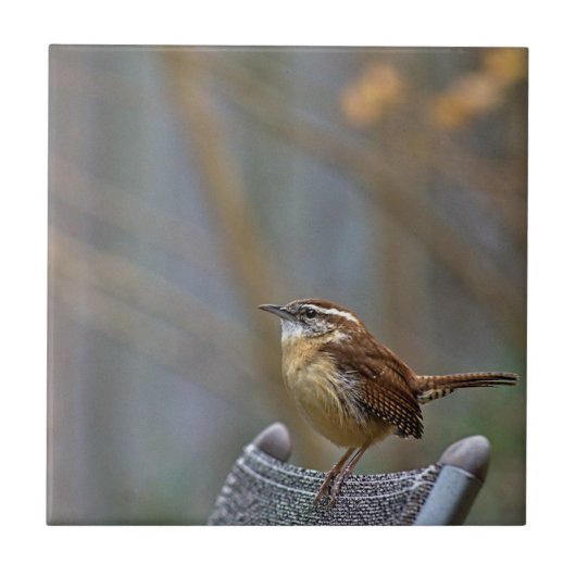 Carolina Wren Ceramic Tile Tegeltje (Voorkant)
