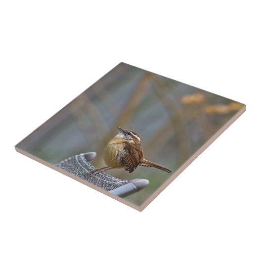 Carolina Wren Ceramic Tile Tegeltje (Zijkant)