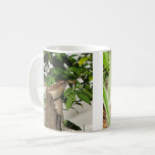 Carolina Wren Family 2 Mok (Voorkant links)