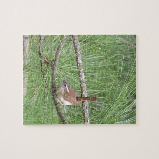 Carolina Wren in Pine Tree Legpuzzel (Horizontaal)