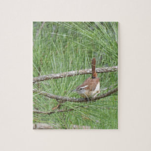 Carolina Wren in Pine Tree Legpuzzel