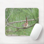 Carolina Wren in Pine Tree Muismat (Met muis)