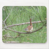 Carolina Wren in Pine Tree Muismat (Voorkant)
