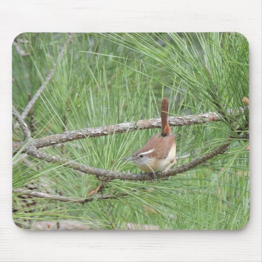 Carolina Wren in Pine Tree Muismat (Voorkant)