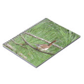 Carolina Wren in Pine Tree Notitieboek (Linkerzijde)