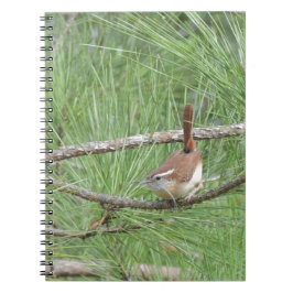 Carolina Wren in Pine Tree Notitieboek