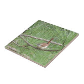 Carolina Wren in Pine Tree Tegeltje (Zijkant)
