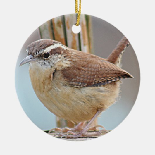Carolina wren keramisch ornament (Voorkant)